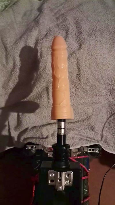 BETTEPREDA's Profile