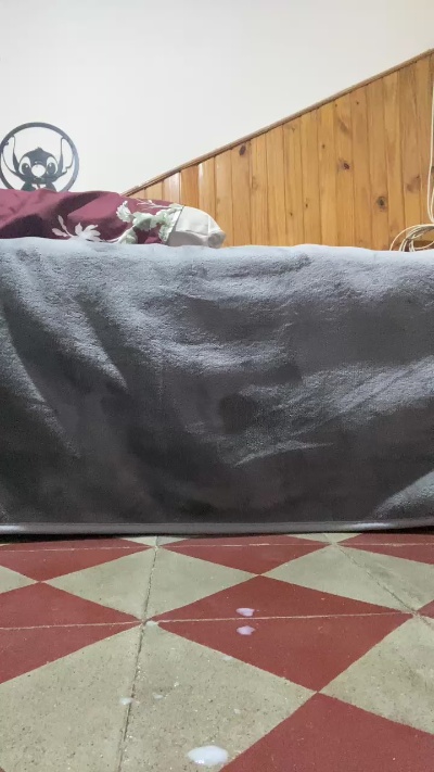 Bebetierno's Profile