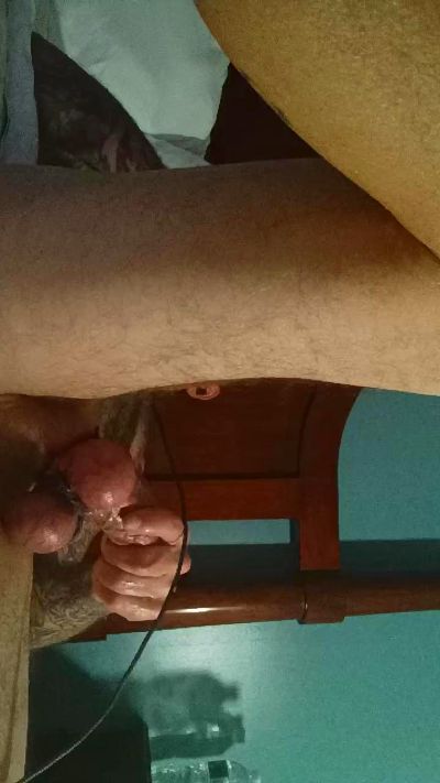 Boner_Donor_FL's Profile