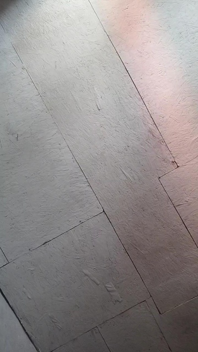 Braidqueen's Profile