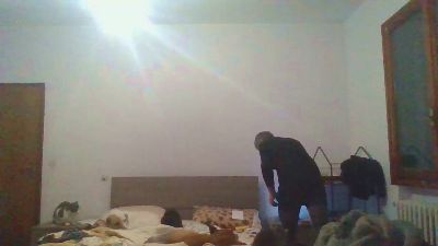 Bsxtravbologna's Profile