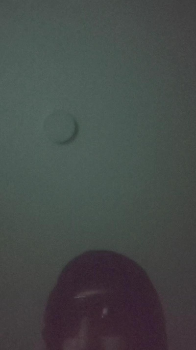 Camilotimido's Profile