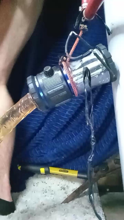 Fallenangel803 Profile Image