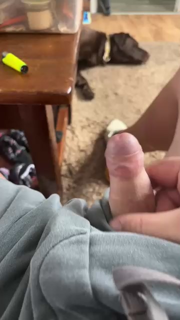 Fatcockbiguy's Profile