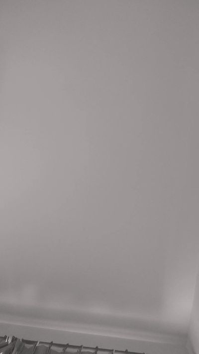 Felina_ros3's Profile