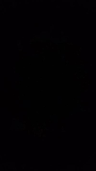 Foijr's Profile