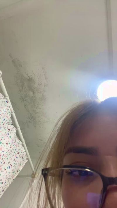 Gatitaabella444's Profile