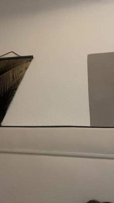 Geilesau280's Profile