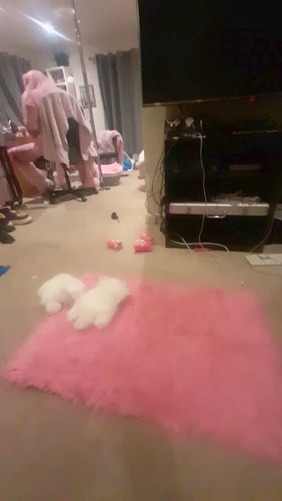 Hungsleazboi's Profile