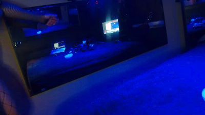 Icecoldhot's Profile