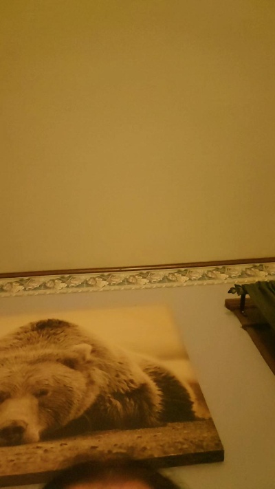 Jennmuffin's Profile