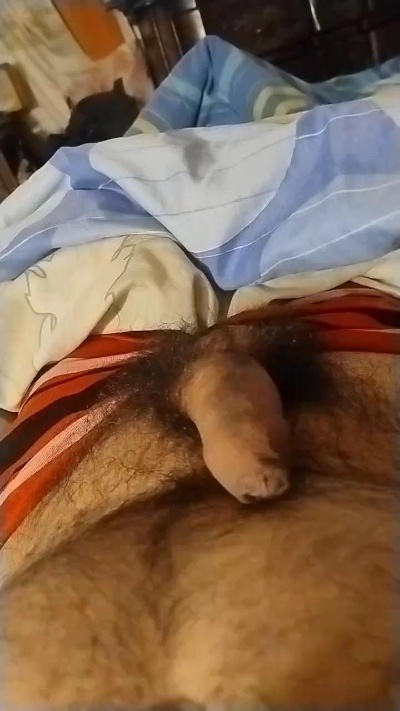 Jose232676_Pori's Profile