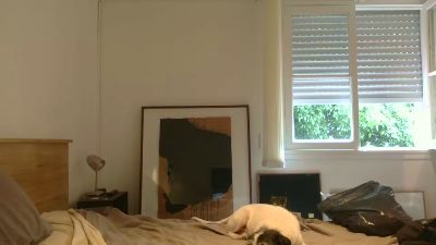 Julieta_trans's Profile