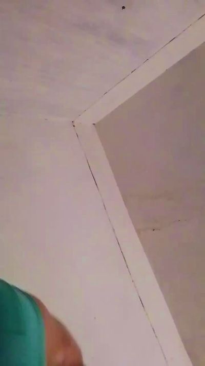 Lamascaranegra's Profile