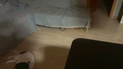 Mary6999999's Profile