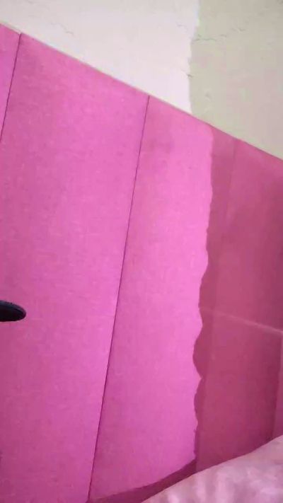 Miguemyers's Profile