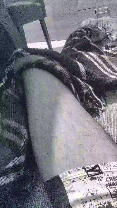 Novinho_sfd26's Profile