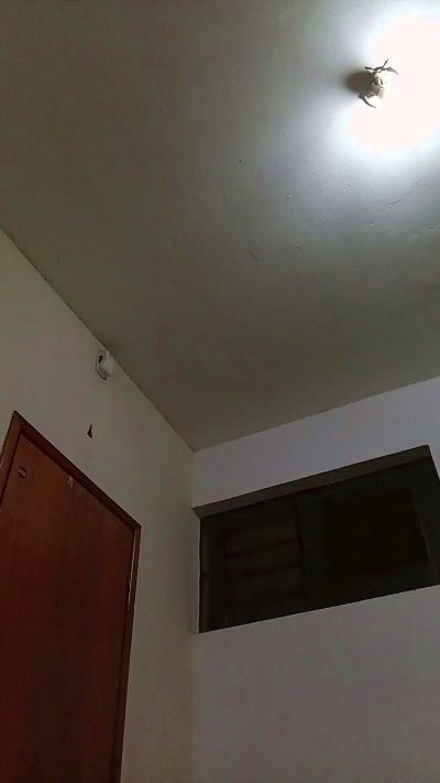 Novinhofoguento's Profile