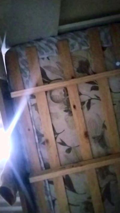 Novinhojr19's Profile