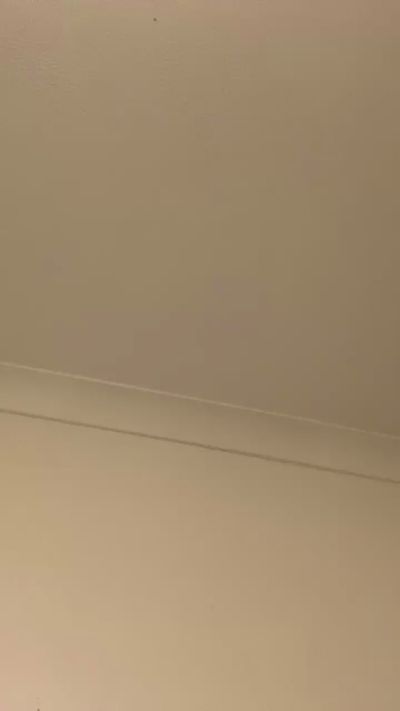 Nyxiaveilvixen's Profile