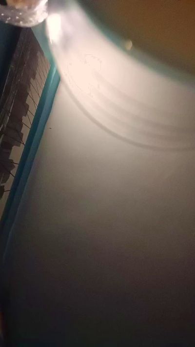 Pareja_morbosa1's Profile