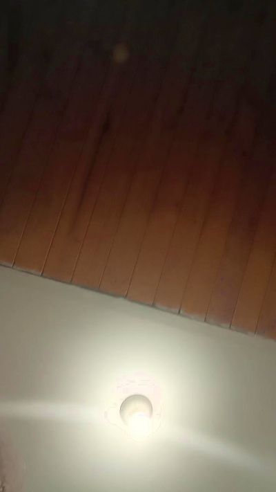 PaulaMilf's Profile