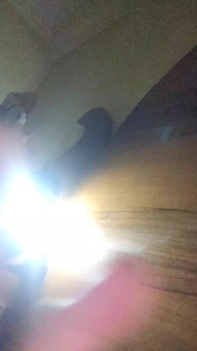 Pervsquid8's Profile