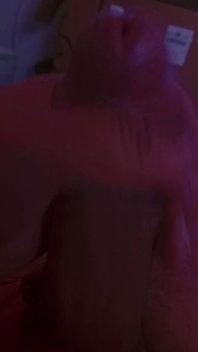 Pitbullcomasga's Profile