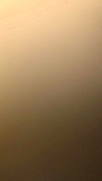 Porcello2023's Profile