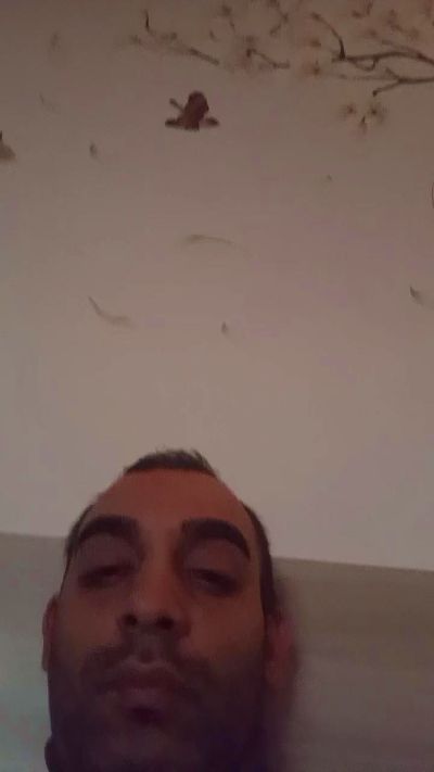 Porcone2702201's Profile