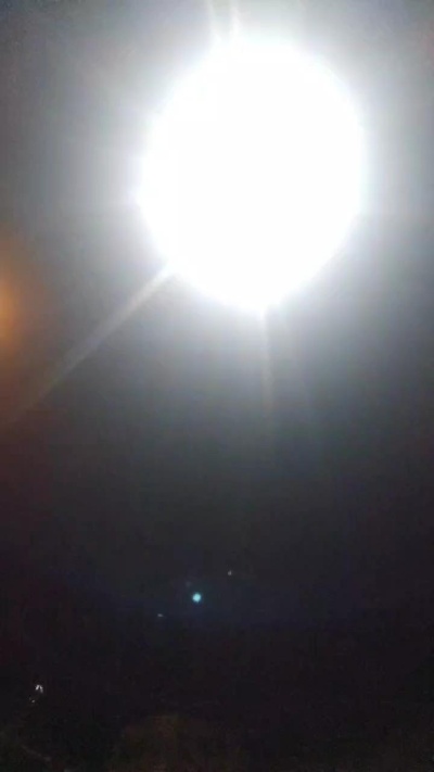 Primalpredator's Profile