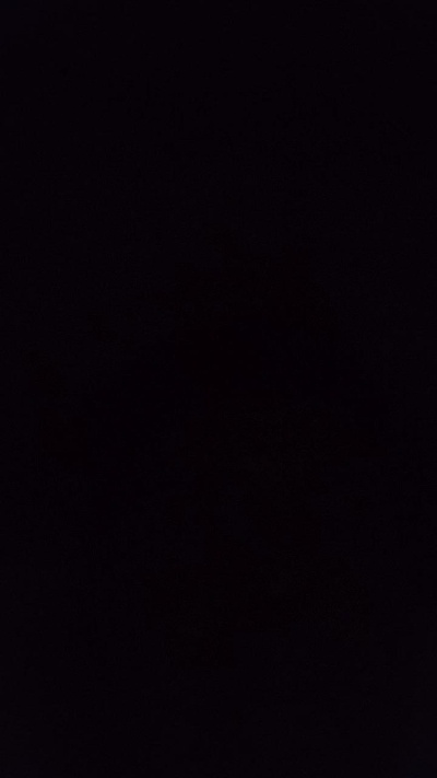 Rafafenixpuebla's Profile