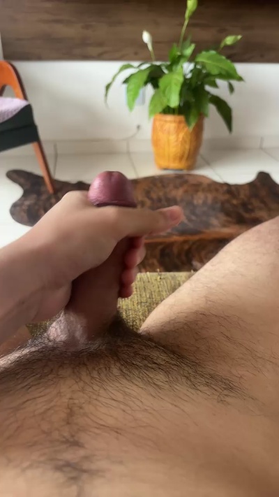 RibeiraoPretano's Profile