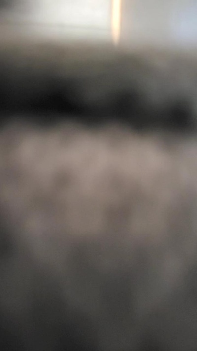 Roadsexe's Profile