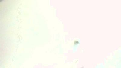 Slimnasty69's Profile