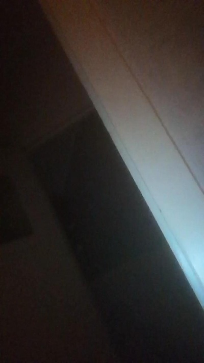 Sniebs21's Profile