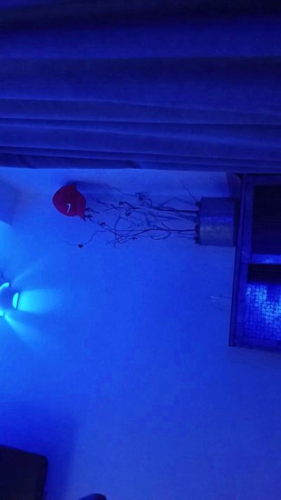 Srysradams32's Profile