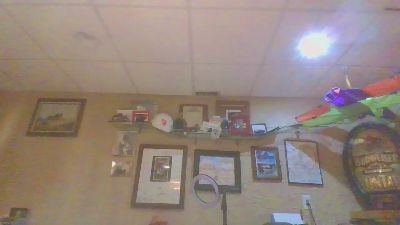 Tanzanite007's Profile