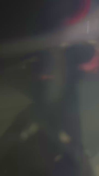 TwinkleToes1992's Profile