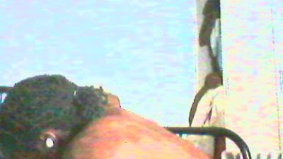 Wolfgan1986's Profile