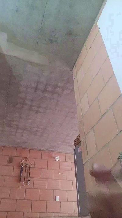 andres3774 Profile Image