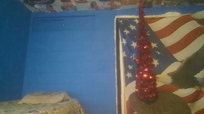 bad1976cock's Profile