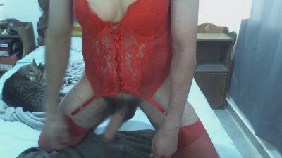 betoelfeo7's Profile