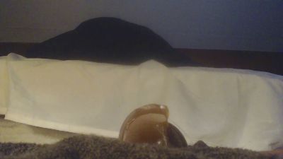 buttstufferx5's Profile