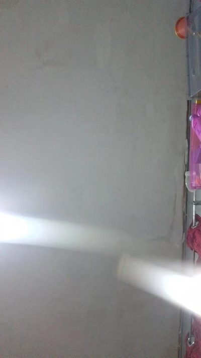 catalina243's Profile