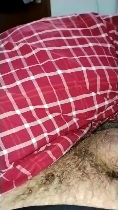 cribergamo's Profile