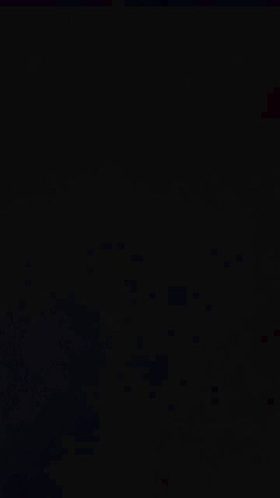 dada349's Profile
