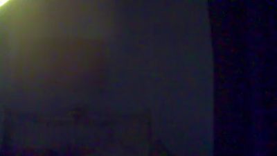 elsexologo19's Profile