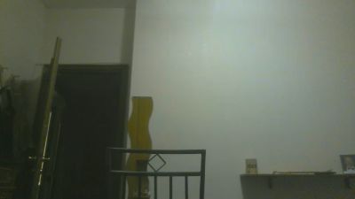folledisess2's Profile