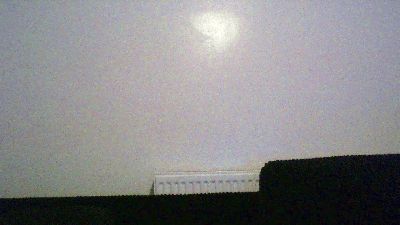 fuckbate20155's Profile